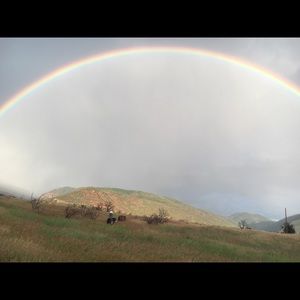 Meet your Posher, Ann